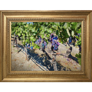 Grape Vines Livermore Winery