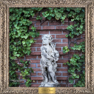 Filoli Cherub by Teresa