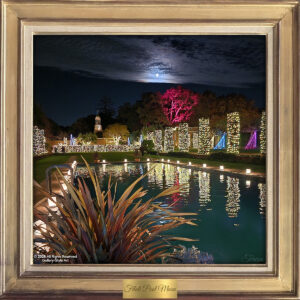 Filoli Pool Full Moon by Teresa