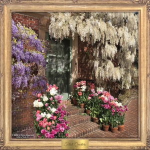 Filoli Quarters by Teresa