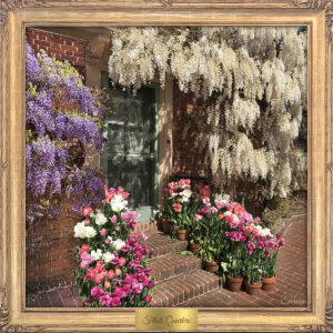 Filoli Quarters by Teresa