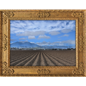 Farm Oakley CA