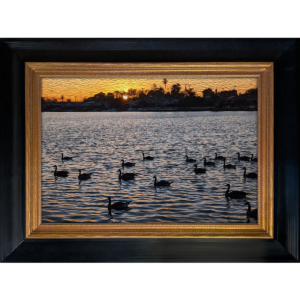 Black Geese at Sunset