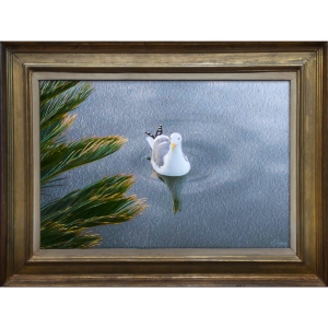 Single Seagull